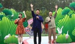 台湾黑帮爆料视频大全最新,最新爆料视频大全深度解析